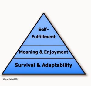 A pyramid showing the relative importance of skills and knowledge derived from education; Survival and Adaptability at the base; Meaning and Enjoyment in the middle; and Self-Fulfillment at the top.